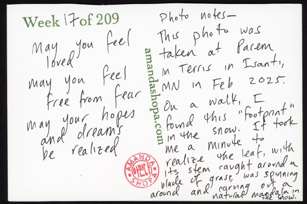 May you feel loved May you feel free from fear May your hopes and dreams be realized Photo notes: This photo was taken at Pacem in Terris in Isanti, MN in Feb 2025. On a walk, I found this "footprint" in the snow. It took me a minute to realize the leaf, with its stem caught around a blade of grass, was spinning around and carving out a natural mandala in the snow.