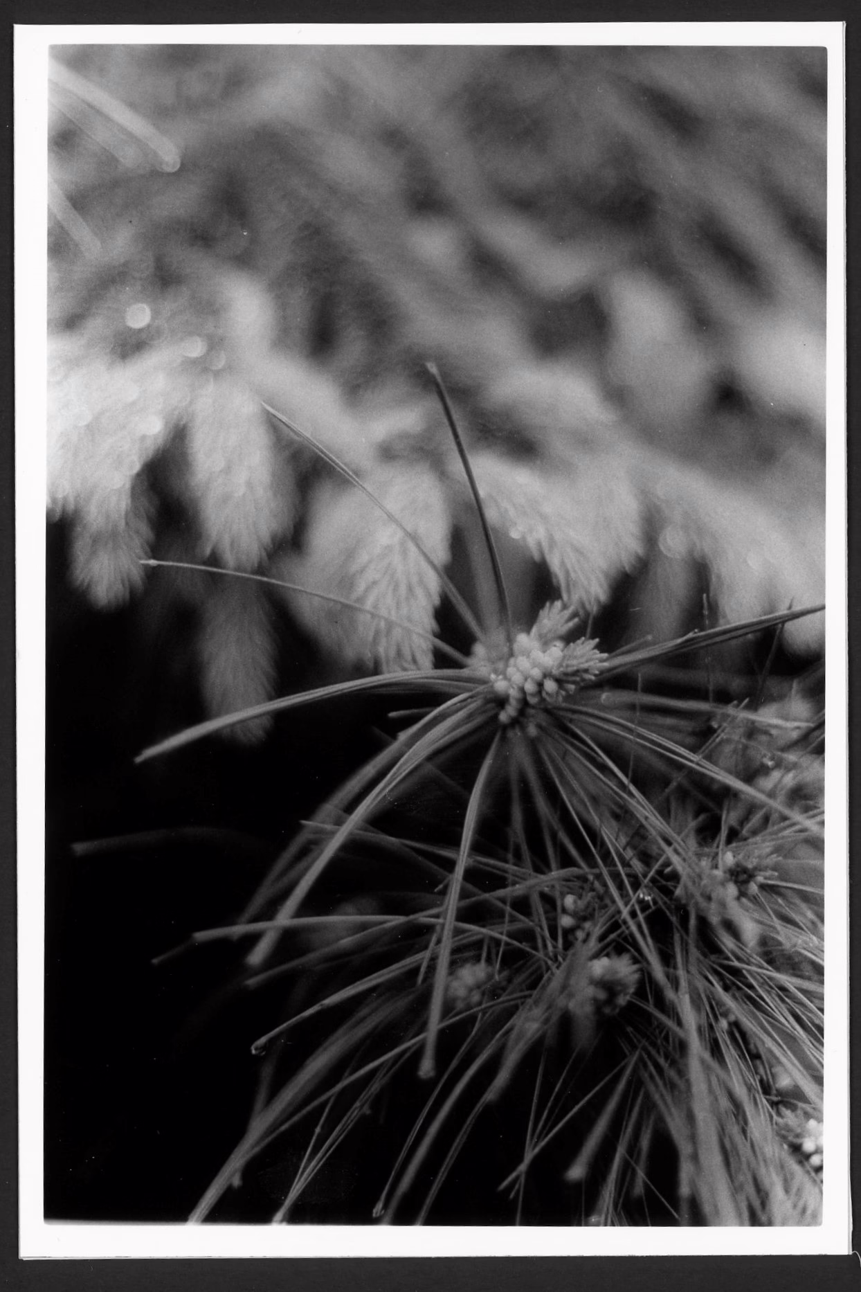 Week 23 of 209 Weeks