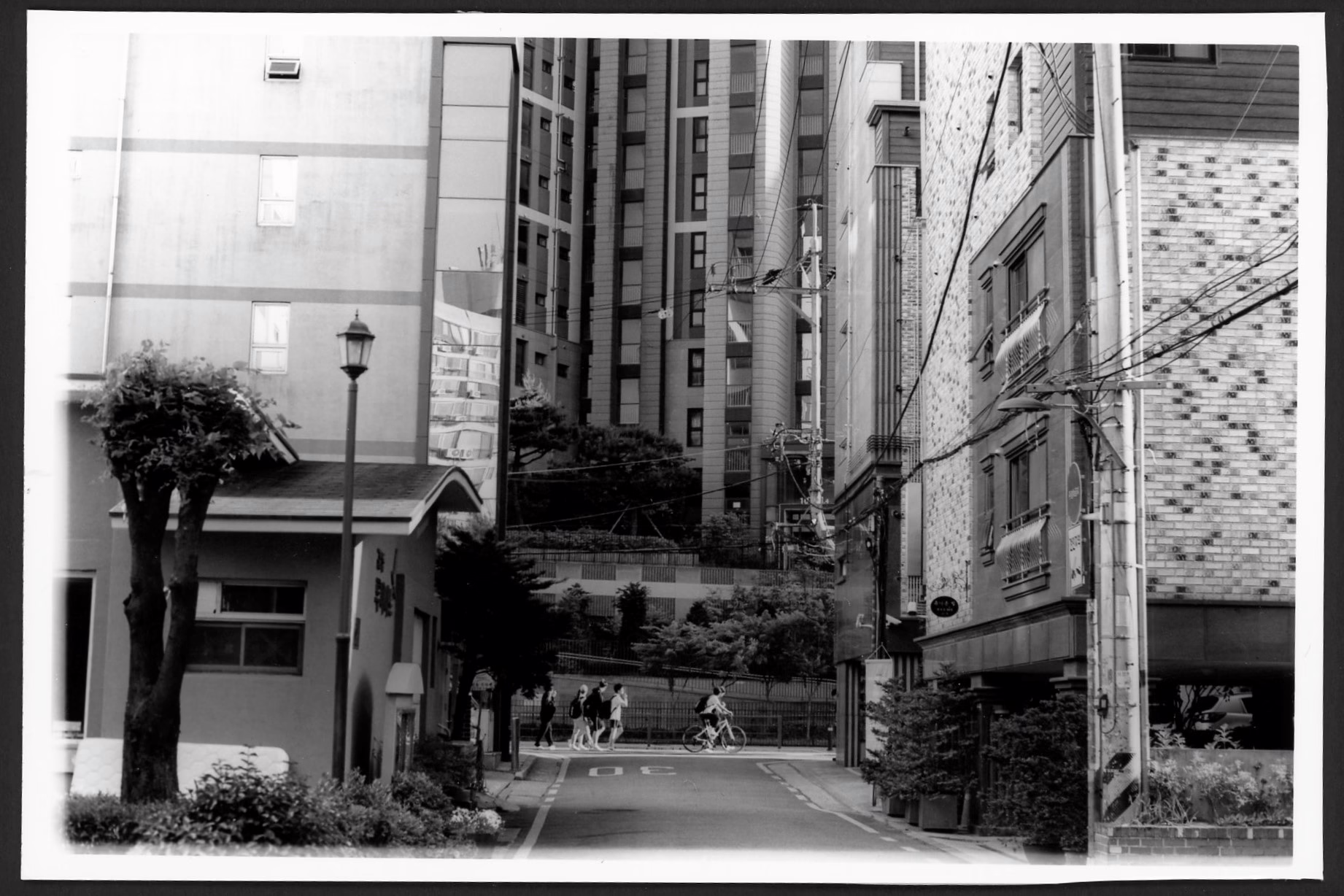 Week 24 of 209 Weeks