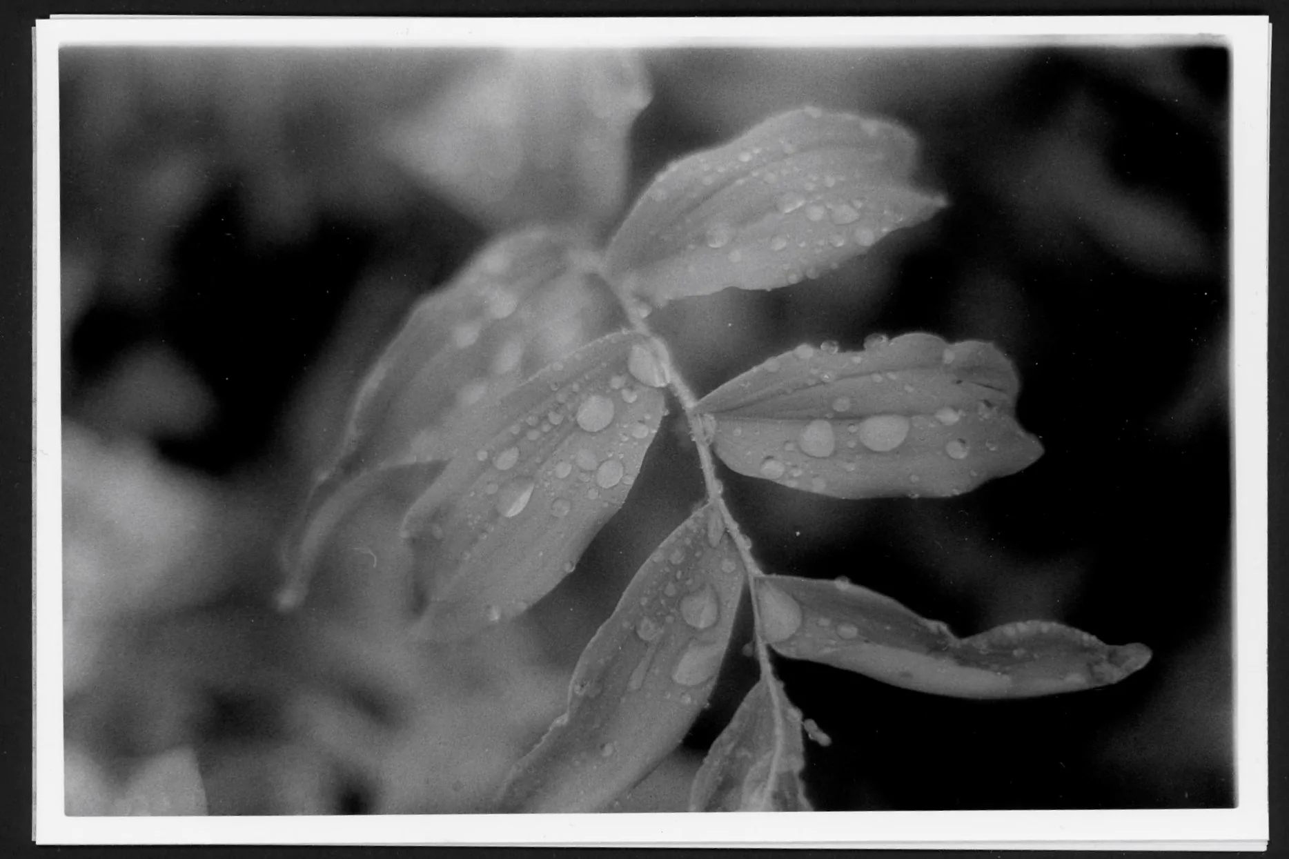 Week 28 of 209 Weeks
