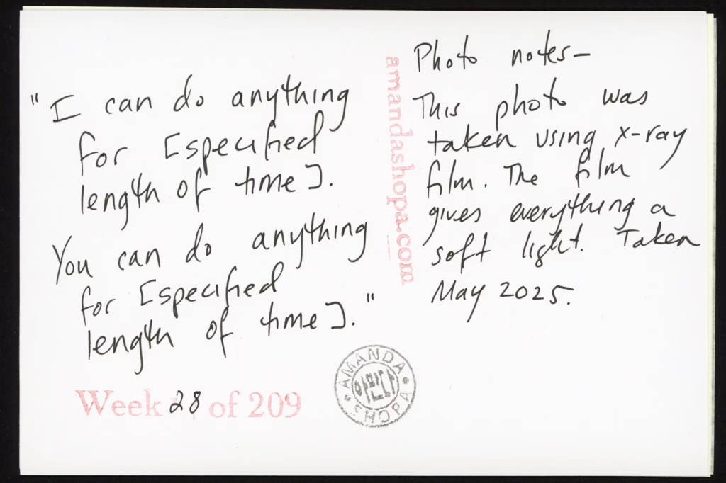 "I can do anything for [specified amount of time]. You can do anything for [specified length of time]." Photo notes: This photo was taken using x-ray film. The film gives everything a soft light. Taken May 2025.