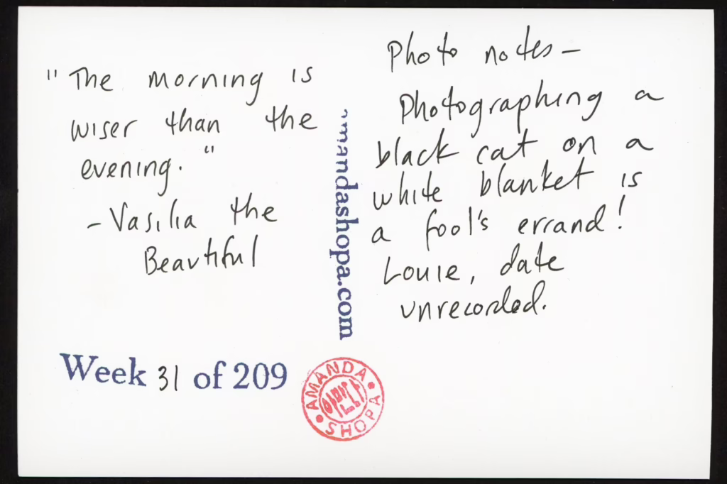 "The morning is wiser than the evening." –Vasilia the Beautiful. Photo notes: Photographing a black cat on a white blanket is a fool's errand! Louie, date unrecorded.