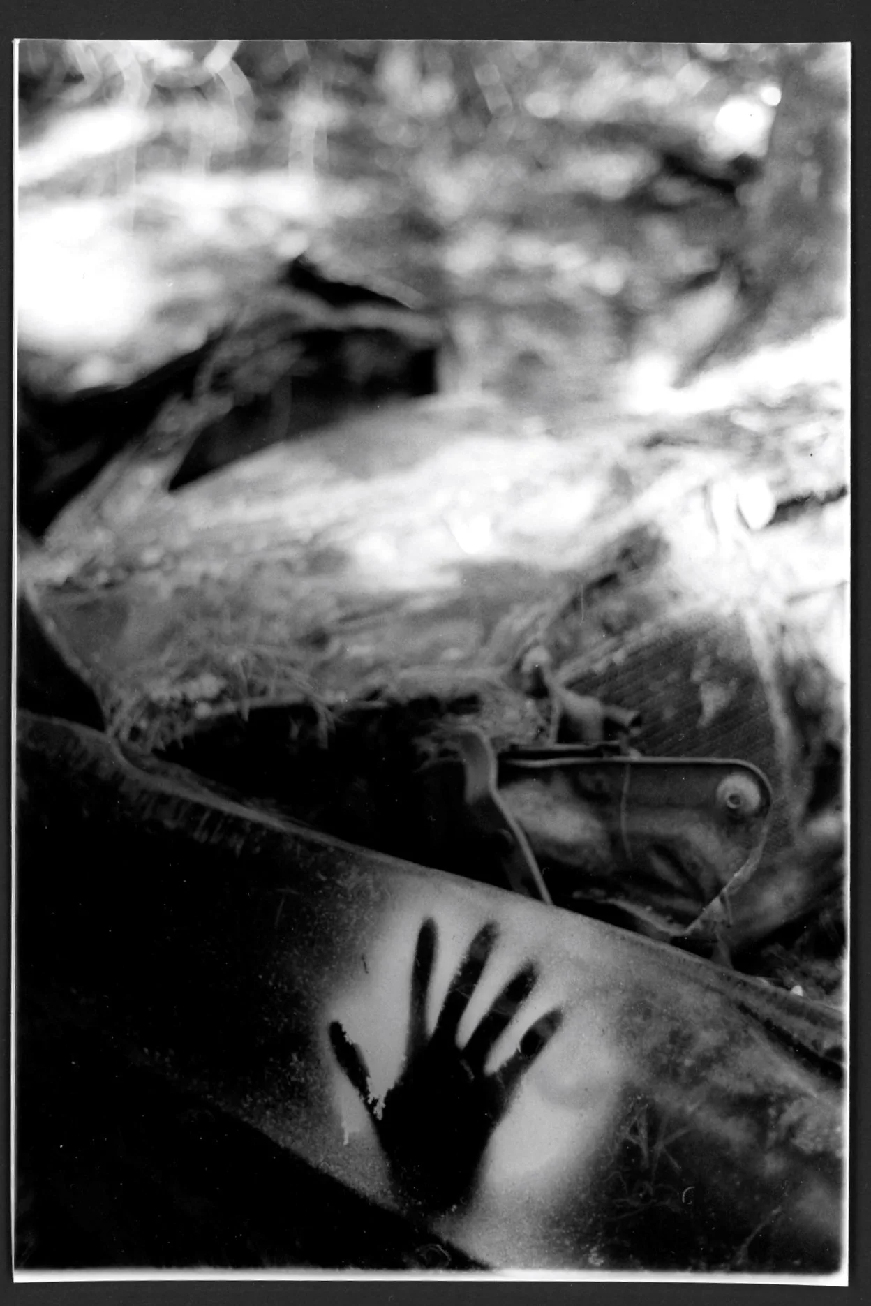Weeks 41–44 of 209 Weeks