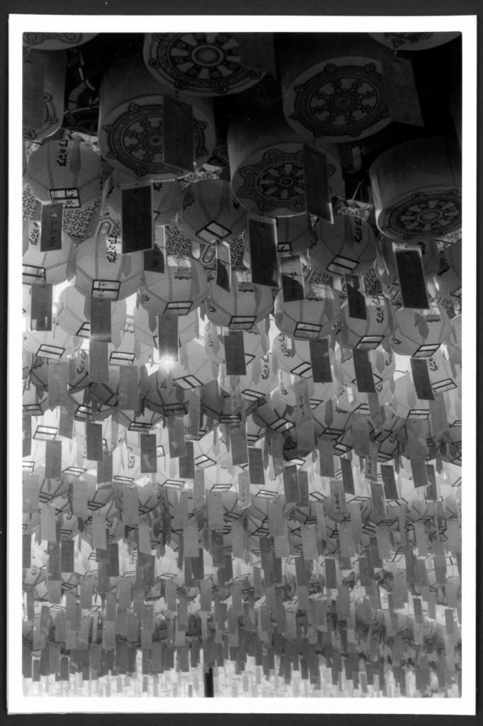 This black and white photo shows row after parallel row of paper lanterns strung up in the sky Some lanterns have images of Buddha on them, and paper tags with names and wishes written on them hang from the lanterns.