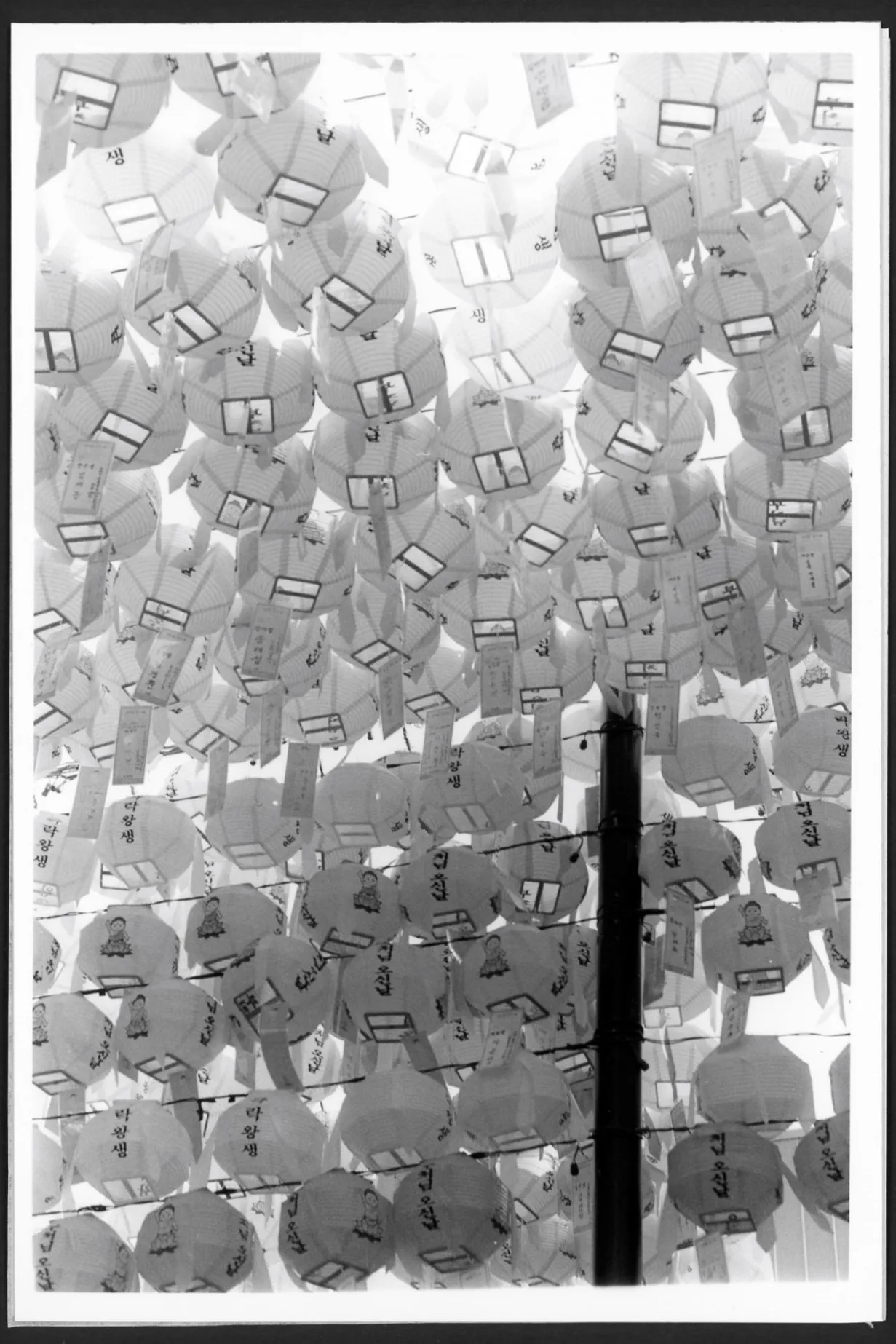This black and white photograph shows parallel rows of lanterns hanging overhead. Some lanterns are adorned with illustrations of a young Buddha. Names and wishes are written on tags that hang from each lantern, and sunshine peeks through the gaps.