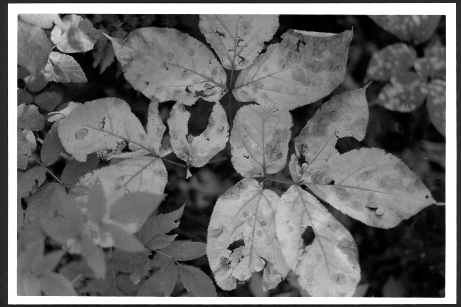 Weeks 57–60 of 209 Weeks