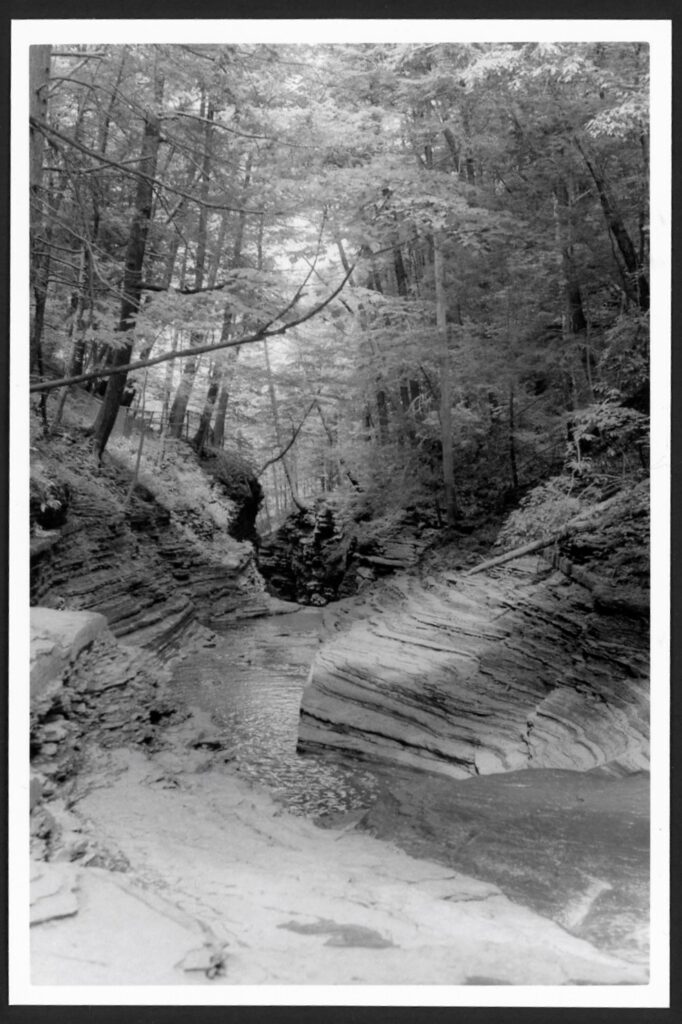 This black and white photograph shows a small stream flowing through a forested area. The rocks show light and dark striations and trees lean toward the sun. A small stream flows downhill.