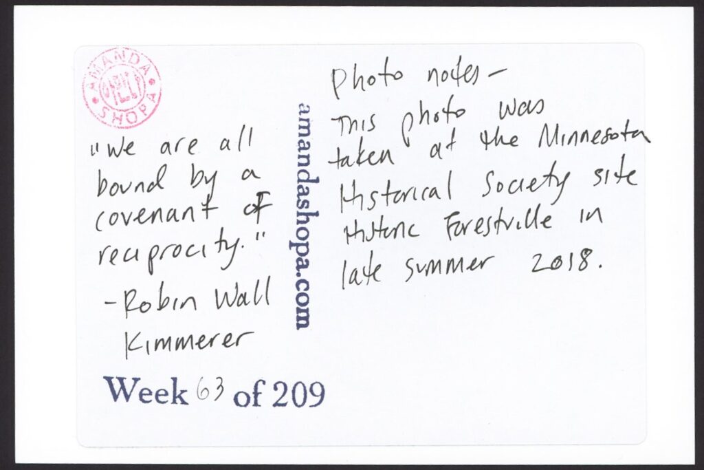 "We are all bound by a covenant of reciprocity." —Robin Wall Kimmerer. Photo notes: This photo was taken at the Minnesota Historical Society site Historic Forestville in late summer 2018.