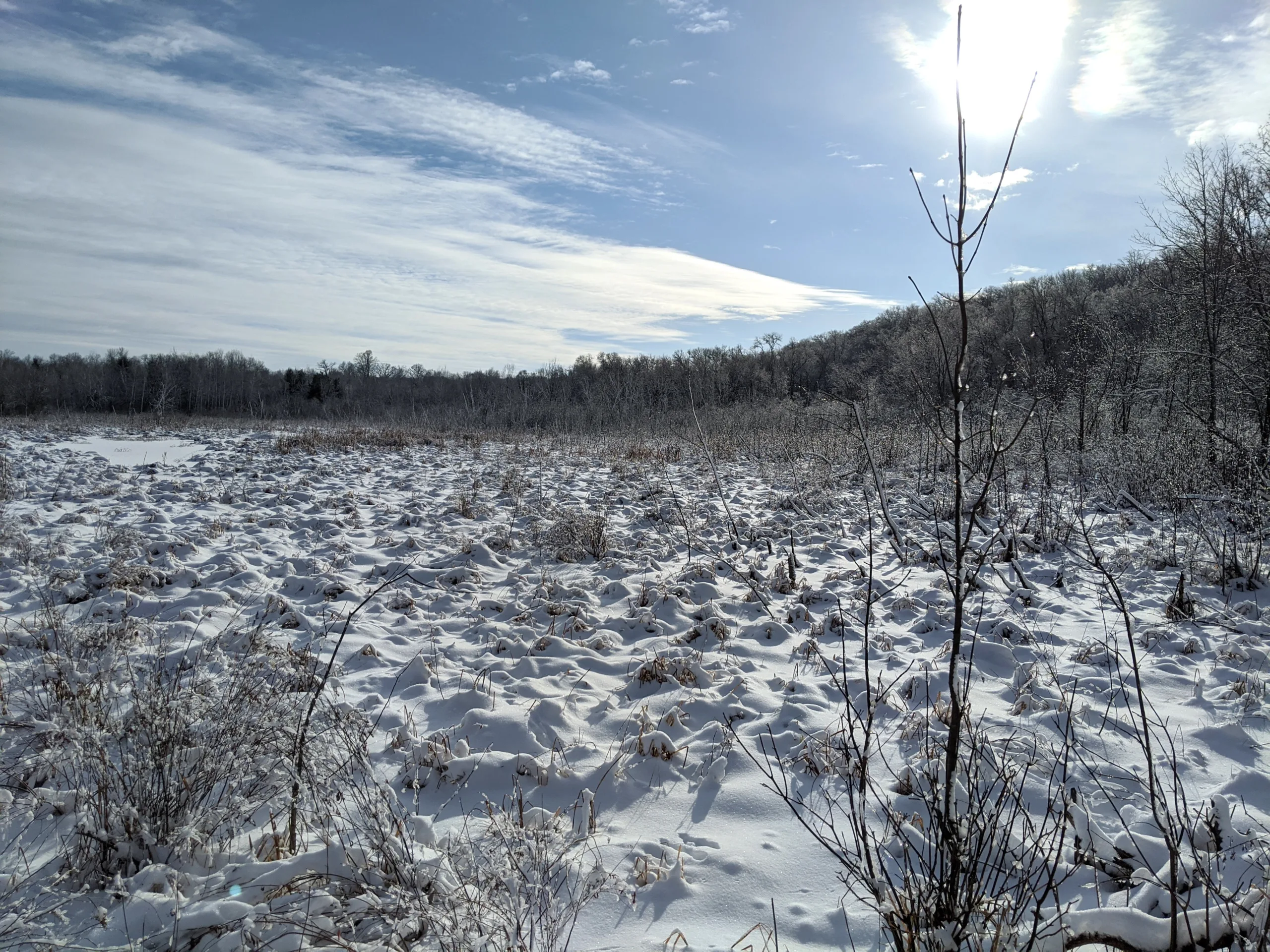 A Restless Winter