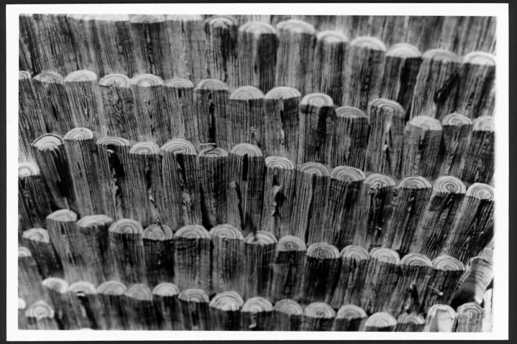 This black and white photograph shows stacks of paper rolled into logs and sliced in half, then stacked one on top of another. It gives the shape stacks of cut logs on top of one another.