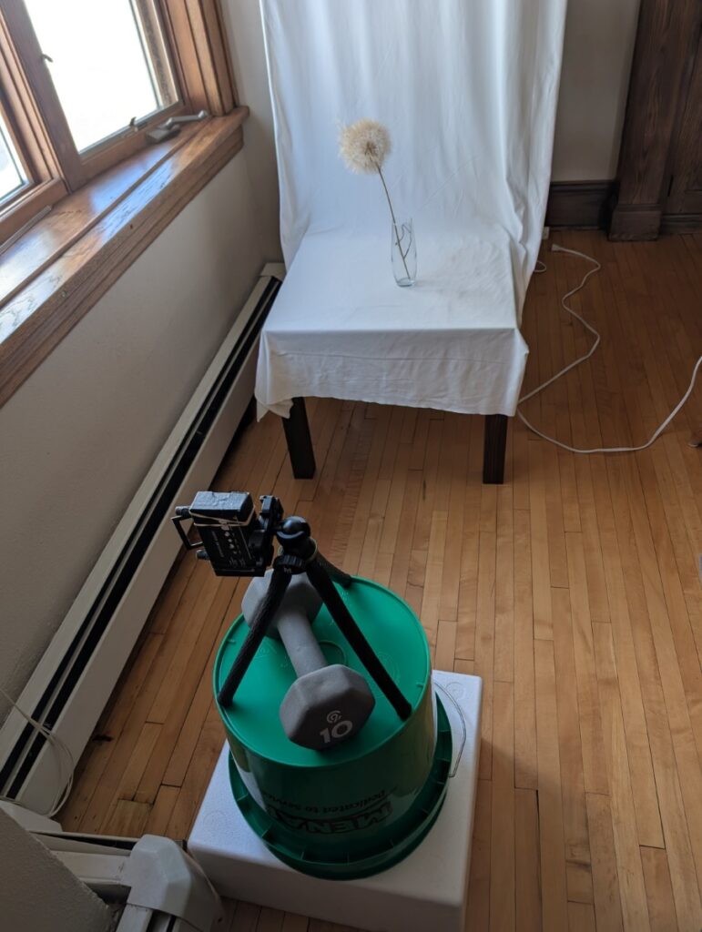 This photo shows a simple setup for still life photography. A piece of white fabric hangs from the ceiling, then spreads across a small tabletop. On the table is a glass vase with a large dandelion-like flower in it. A window sits to the left. In the foreground of the photo, there is a Styrofoam box, an upturned five gallon bucket, a very small tripod, and a ten-pound dumbell. A small tagboard pinhole camera is on the tripod.