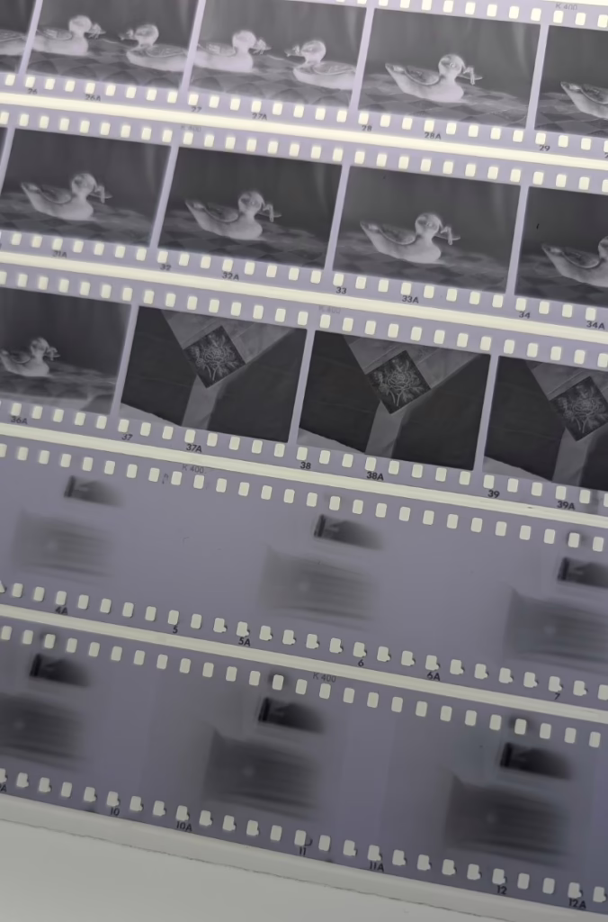 Several strips of photographic negatives are shown. The negative strips near the top of the photo are sharp and clear. The negative strips near the bottom of the photo are much less sharp.