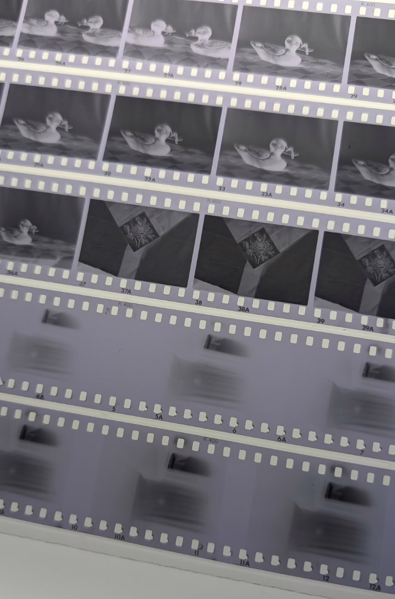 Several strips of photographic negatives are shown. The negative strips near the top of the photo are sharp and clear. The negative strips near the bottom of the photo are much less sharp.