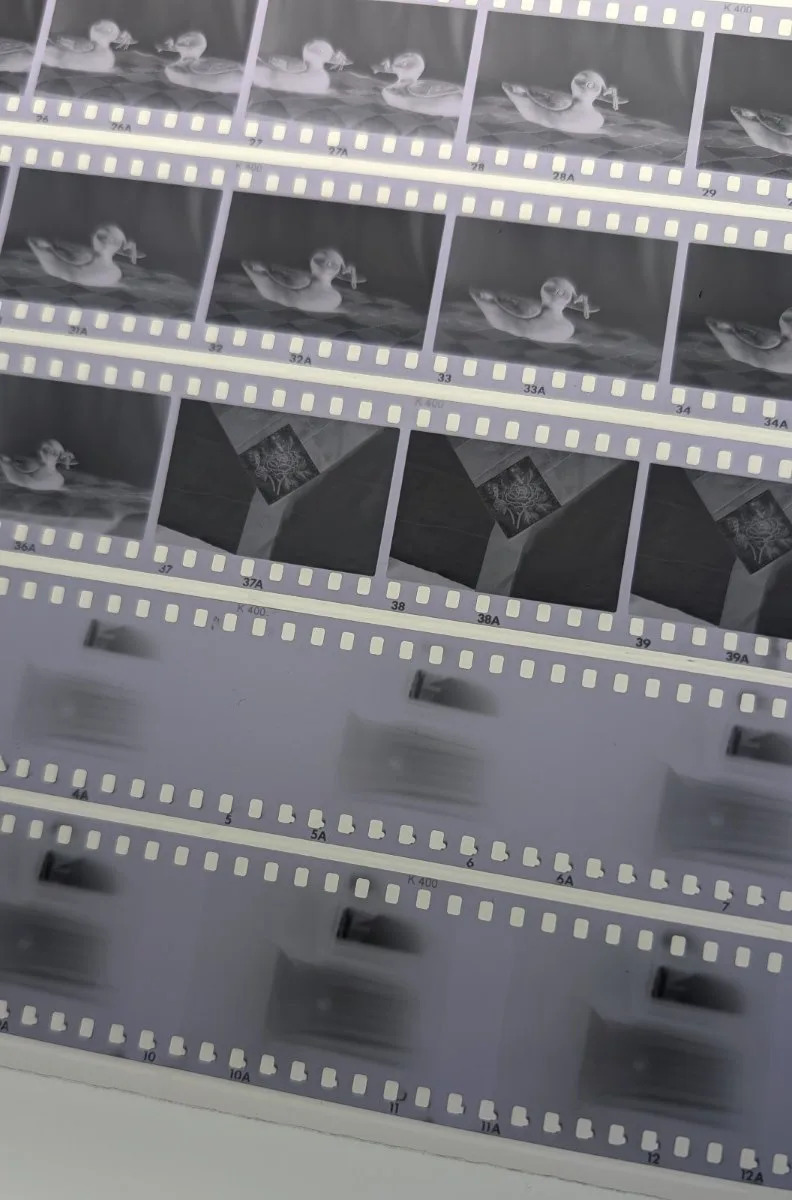 Second Attempt at Using a Pinhole Camera