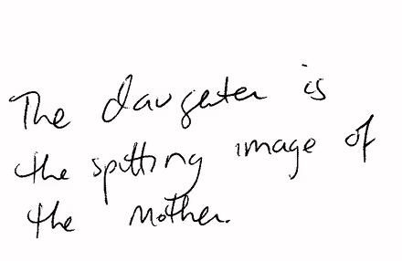 A Korean–English flashcard. It reads "The daughter is the spitting image of the mother."