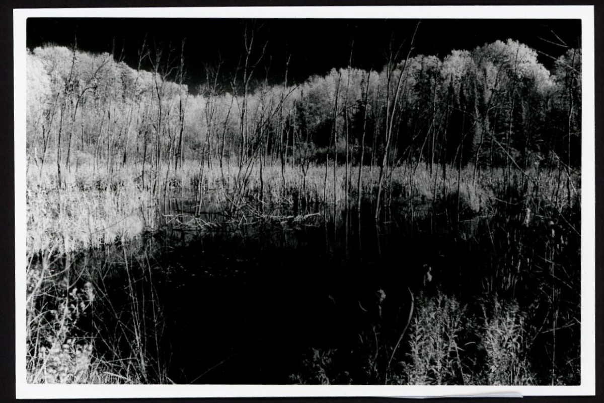 This black-and-white near-infrared photo shows a marshy area with scraggly, leafless trees along the front edge of the marsh. In the distance, trees can be seen. Since this is near-infrared film, the sky and water are black while the trees and plants are white.