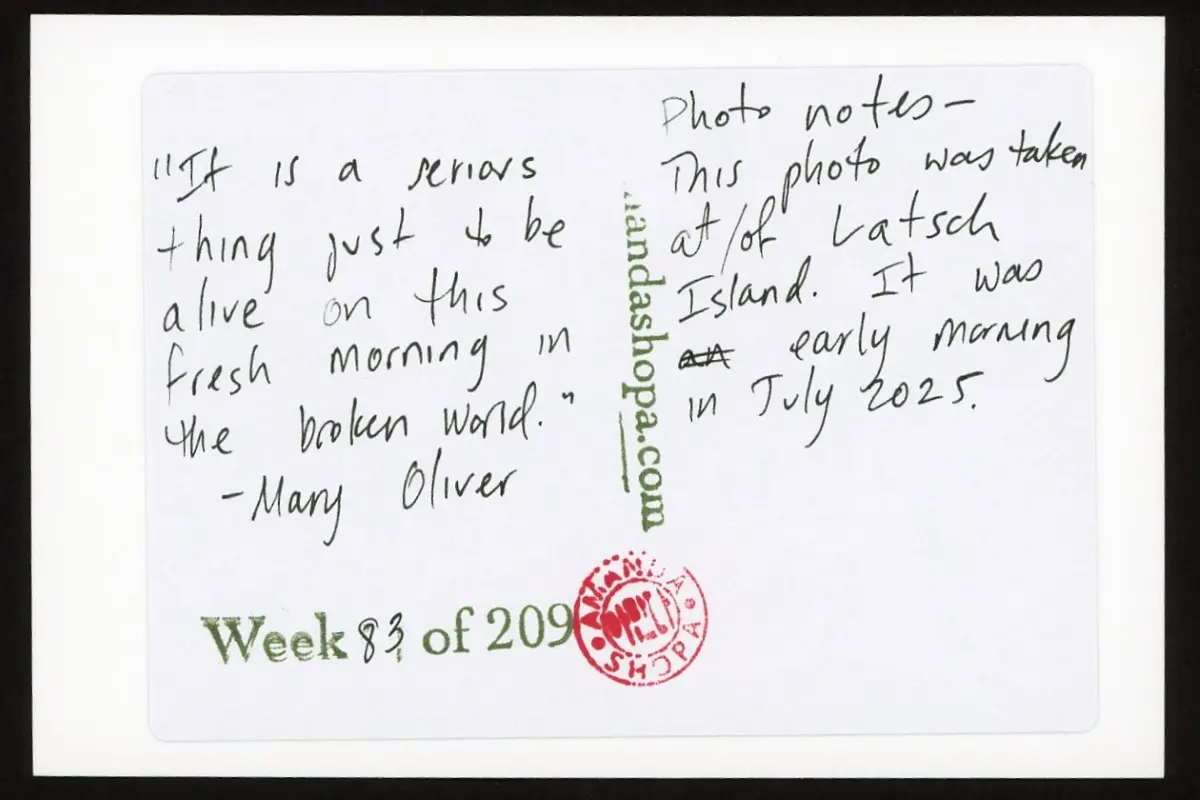 "It is a serious thing just to be alive on this fresh morning in the broken world." —Mary Oliver. Photo notes: This photo was taken of/at Latsch Island. It was an early morning in July 2025.