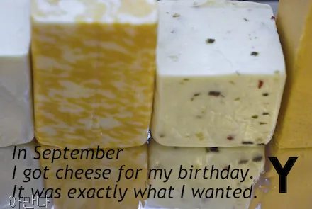 Four bricks of cheese are shown against a reflective background. The letter Y is in the corner.