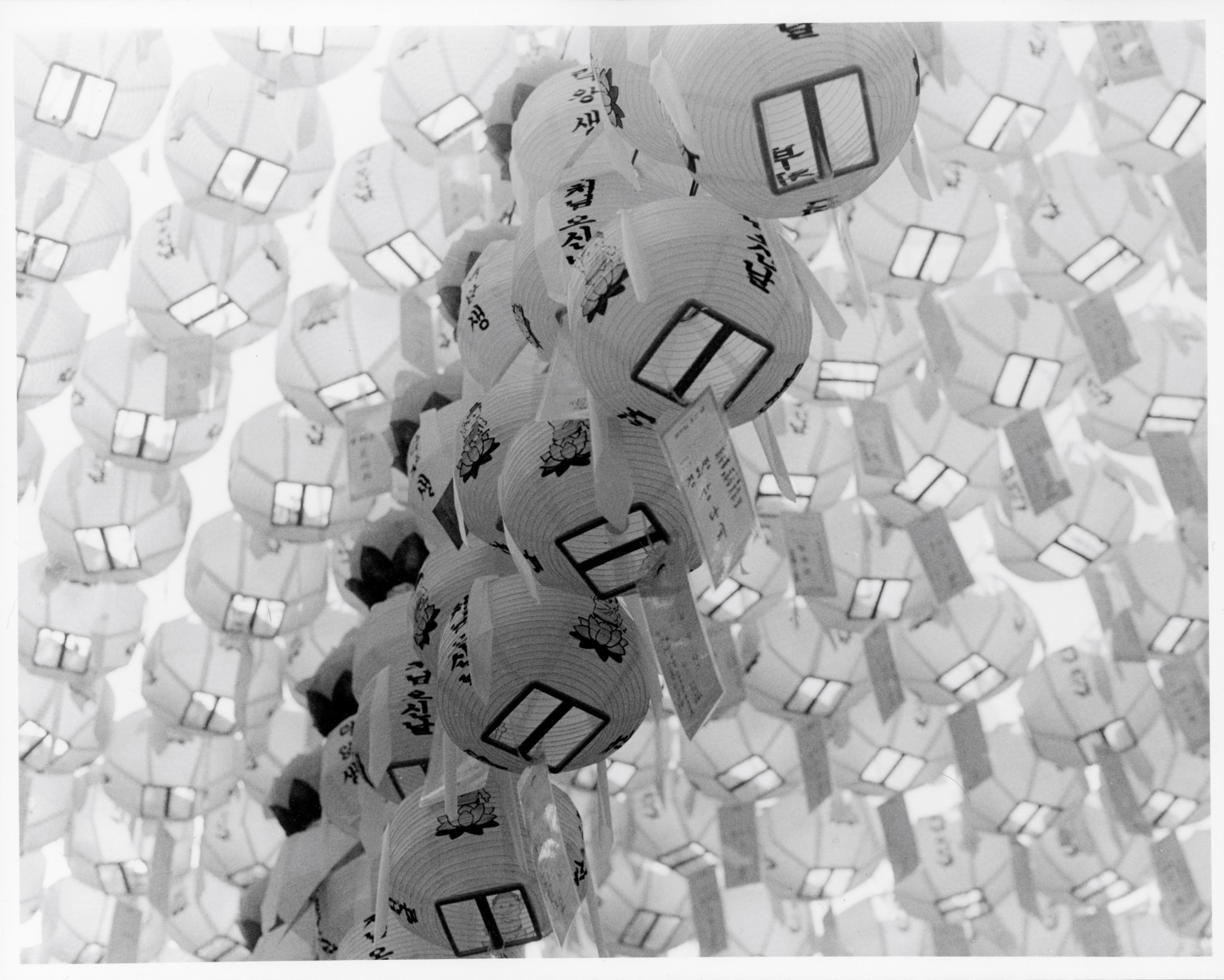 A black-and-white photo shows lanterns strung overhead at Buddha's Birthday Parade in Seoul, South Korea in May 2024. Paper tags with prayers on them hang from the lanterns. Korean characters, lotus leaves, and a baby Buddha can be seen on the lanters.
