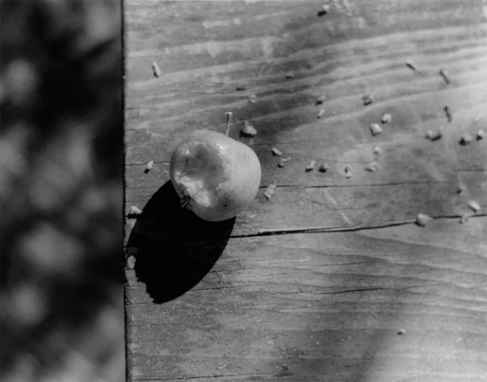 A black-and-white photo shows a tiny apple on a wooden picnic table. Scattered around the apple are tiny pieces of apple flesh pulled off by a bird.