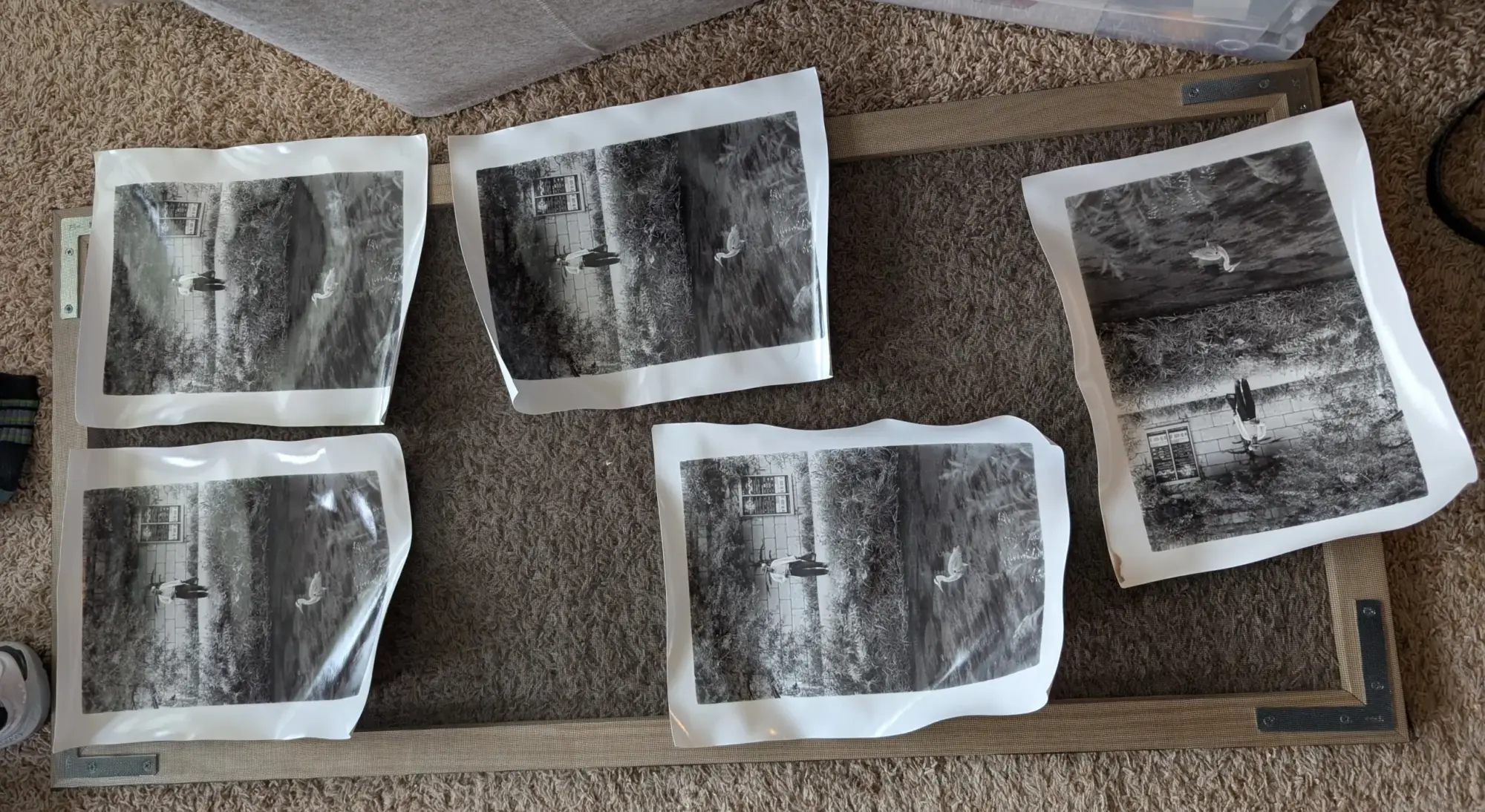 A darkroom drying rack, made of wood, corner brackets, and window screen, is shown with five photos on it.