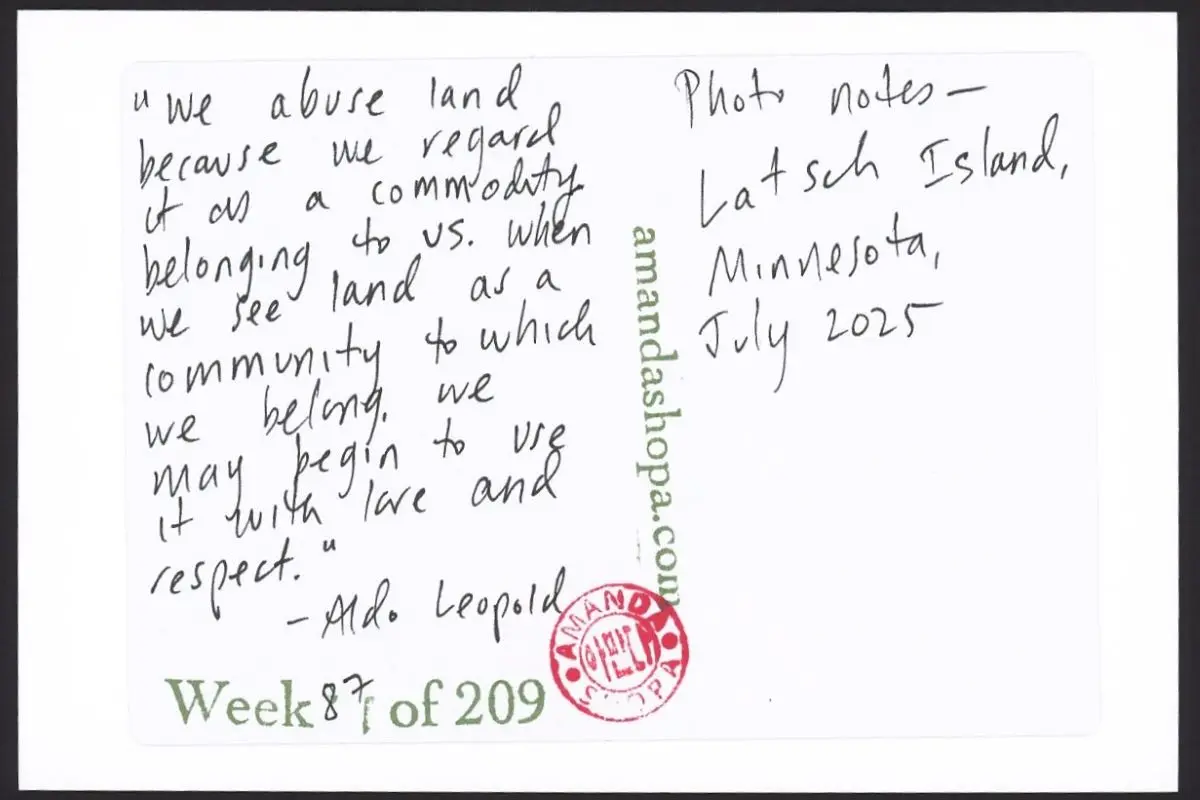 "We abuse land because we regard it as a commodity belonging to us. When we see land as a community to which we belong, we may begin to use it with love and respect." —Aldo Leopold. Photo notes: Latsch Island, Minnesota, July 2025